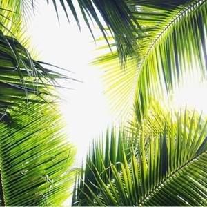 Meet your Posher, Rudy